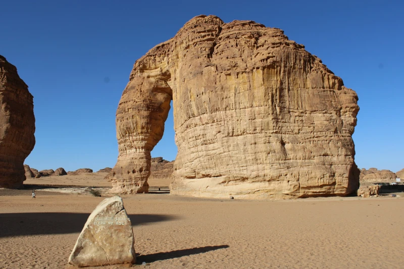 Experiencia en AlUla