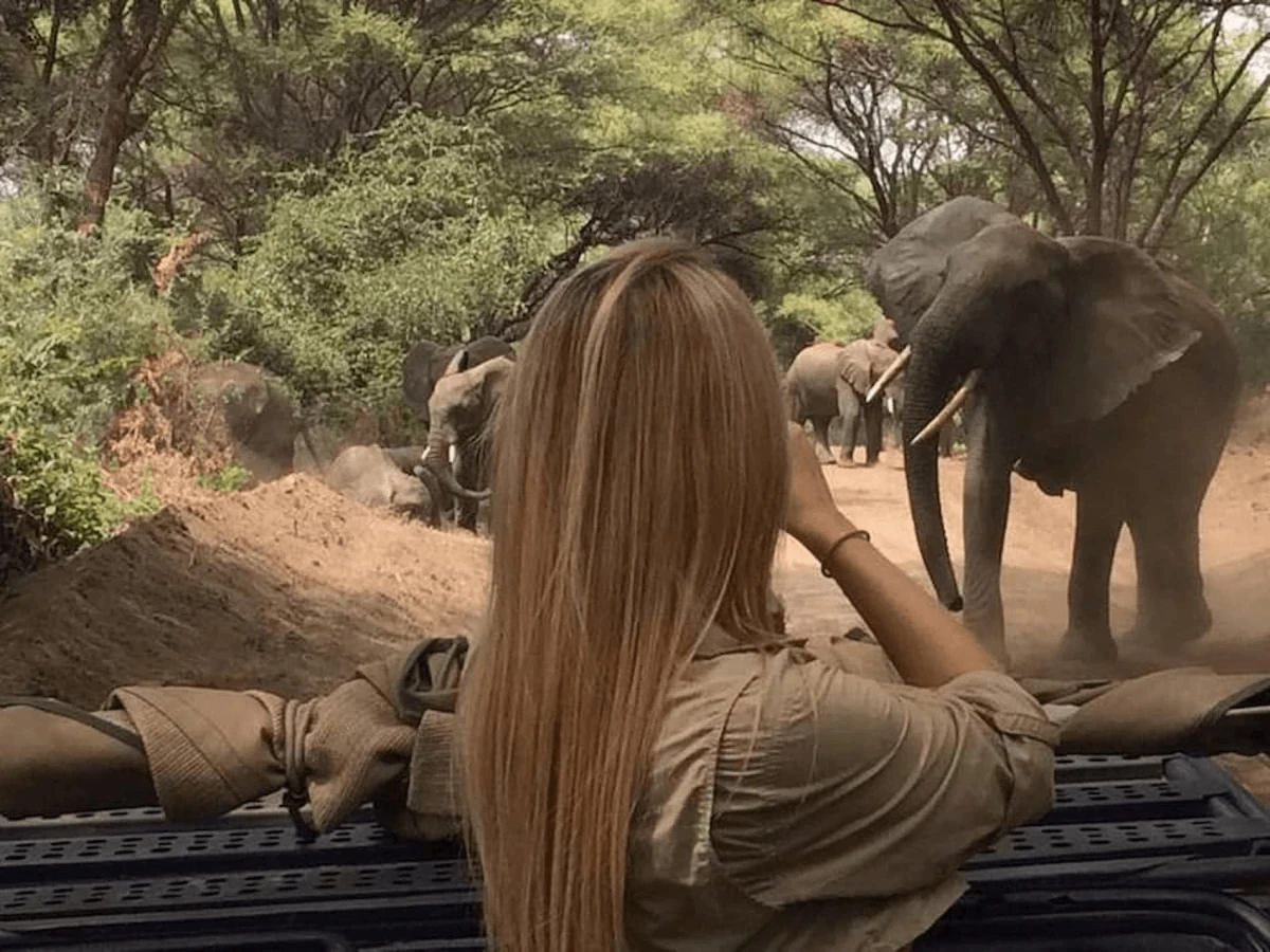 Tanzania en noviembre en tents de lujo