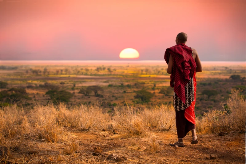 Tanzania en noviembre en tents de lujo